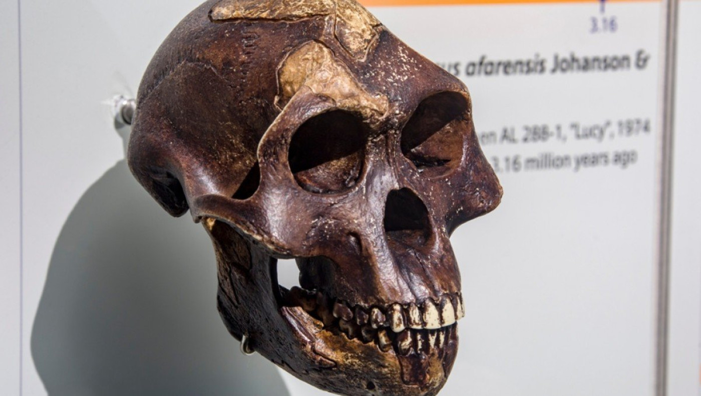 Στην Κρήτη οι αρχαιότερες πατημασιές προγόνων του ανθρώπου, 6 εκατ. ετών