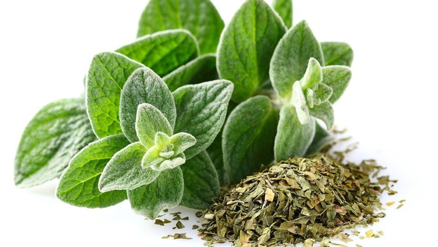 Το ελληνικό αρωματικό που είναι φυσικό αντιβιοτικό και ρίχνει τη χοληστερόλη