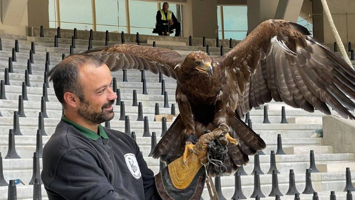 Στα πρότυπα της Μπενφίκα η ΑΕΚ: Ο αετός που θα πετάει πάνω από την «OPAP Arena»