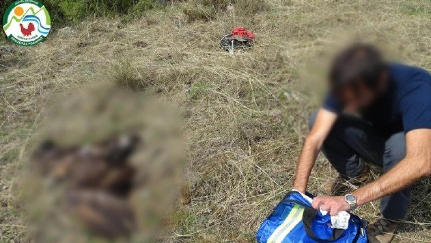 Δράμα: Απειλούμενος χρυσαετός νεκρός από δηλητηριασμένα δολώματα!