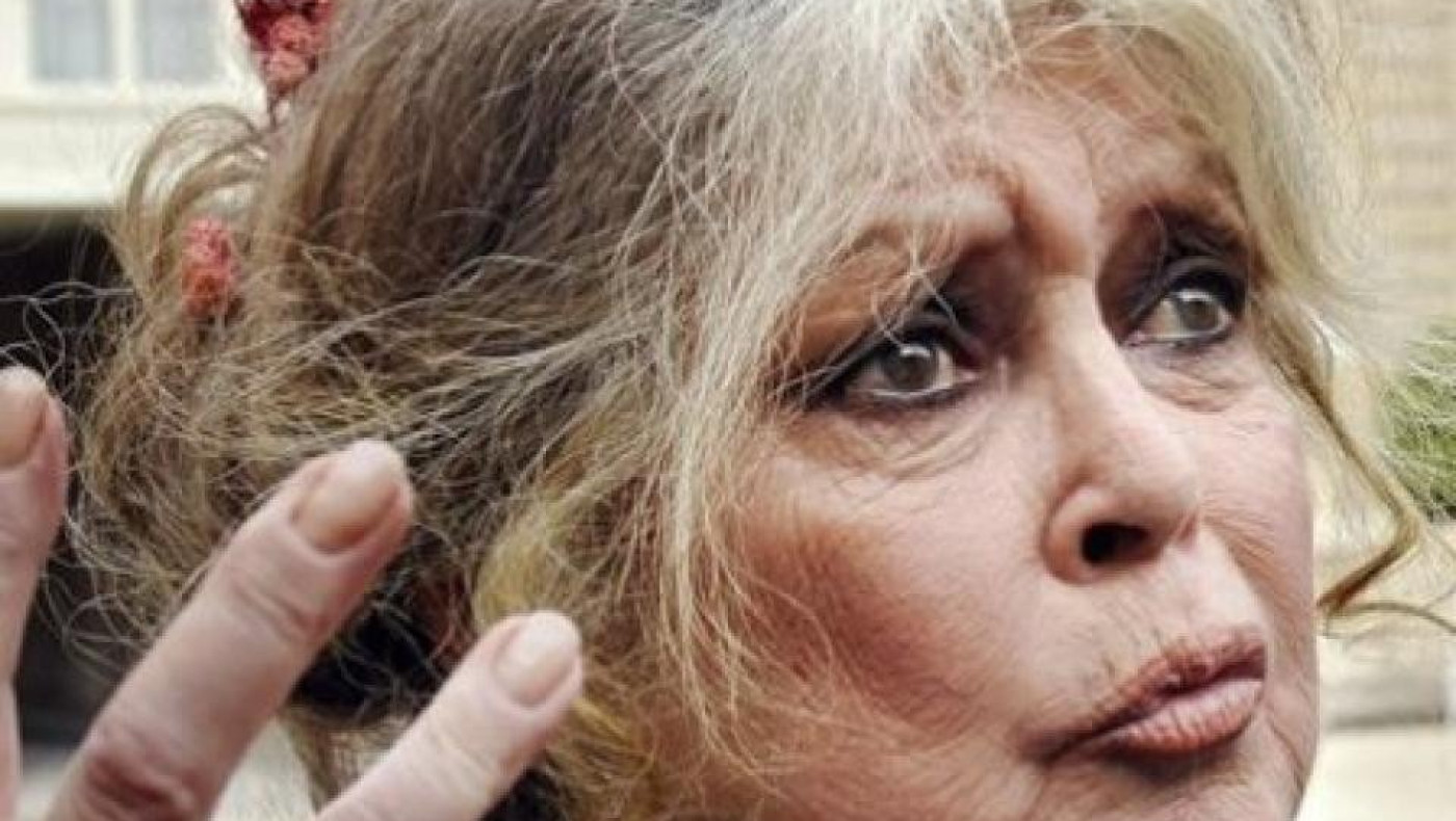 Έξω φρενών η Μπριζίτ Μπαρντό με την Κατρίν Ντενέβ για τις γούνες της