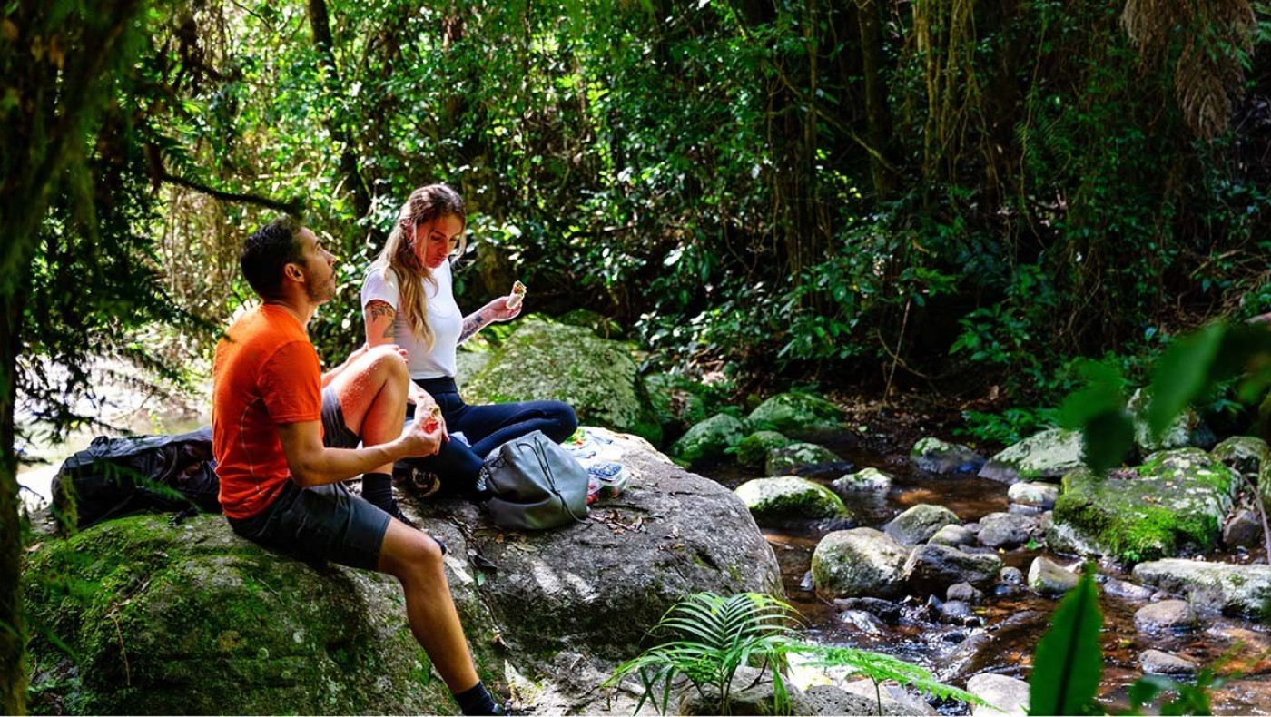 Το φυσικό φάρμακο που ρίχνει την πίεση και μειώνει το άγχος