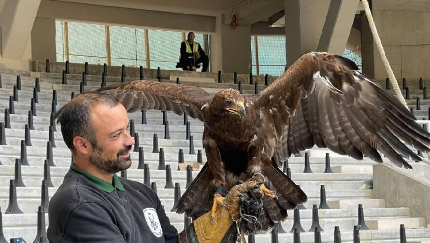 Τι απαντά η ΑΕΚ για τον ντόρο με τον αετό και τις... πτήσεις του στο νέο γήπεδο