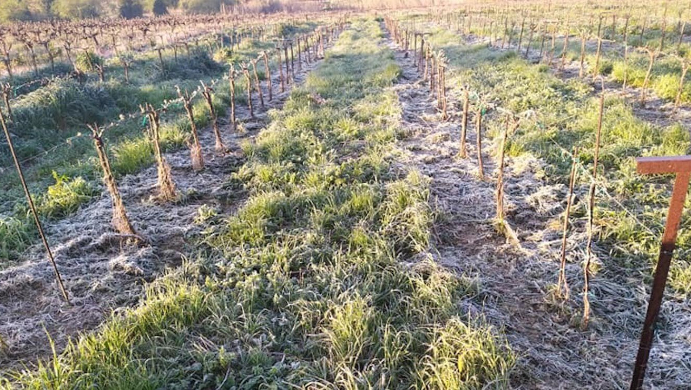 ΠΑΡΑΓΩΓΟΙ: Για τέλος του έτους μετατέθηκαν οι προκαταβολές παγετού άνοιξης 40%