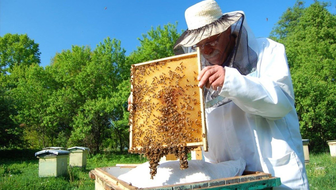 Μελισσοκομία: Ενίσχυση 1 εκατ. ευρώ για λειτουργία κέντρων το 2022
