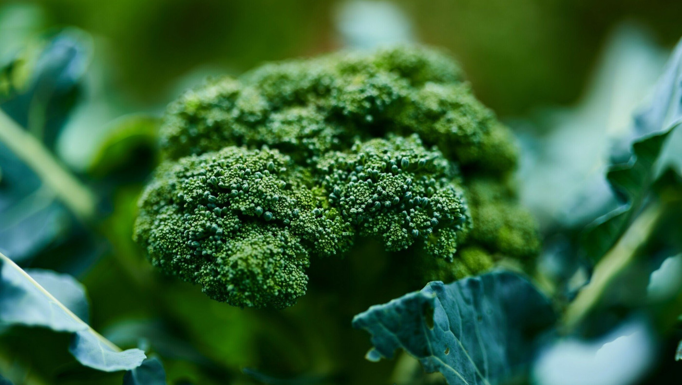 Το λαχανικό «φυσικό φάρμακο» για δυνατή άμυνα και όραση