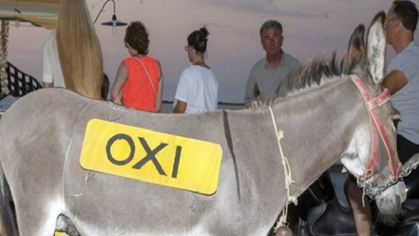 Δείτε που είχε... γραμμένο το ΝΑΙ ένας γάιδαρος στη Λευκάδα