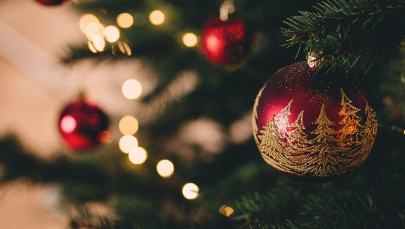 Πάτρα: Έκλεβε τα μπαλάκια από το δέντρο της πολυκατοικίας, η επική ανακοίνωση του διαχειριστή