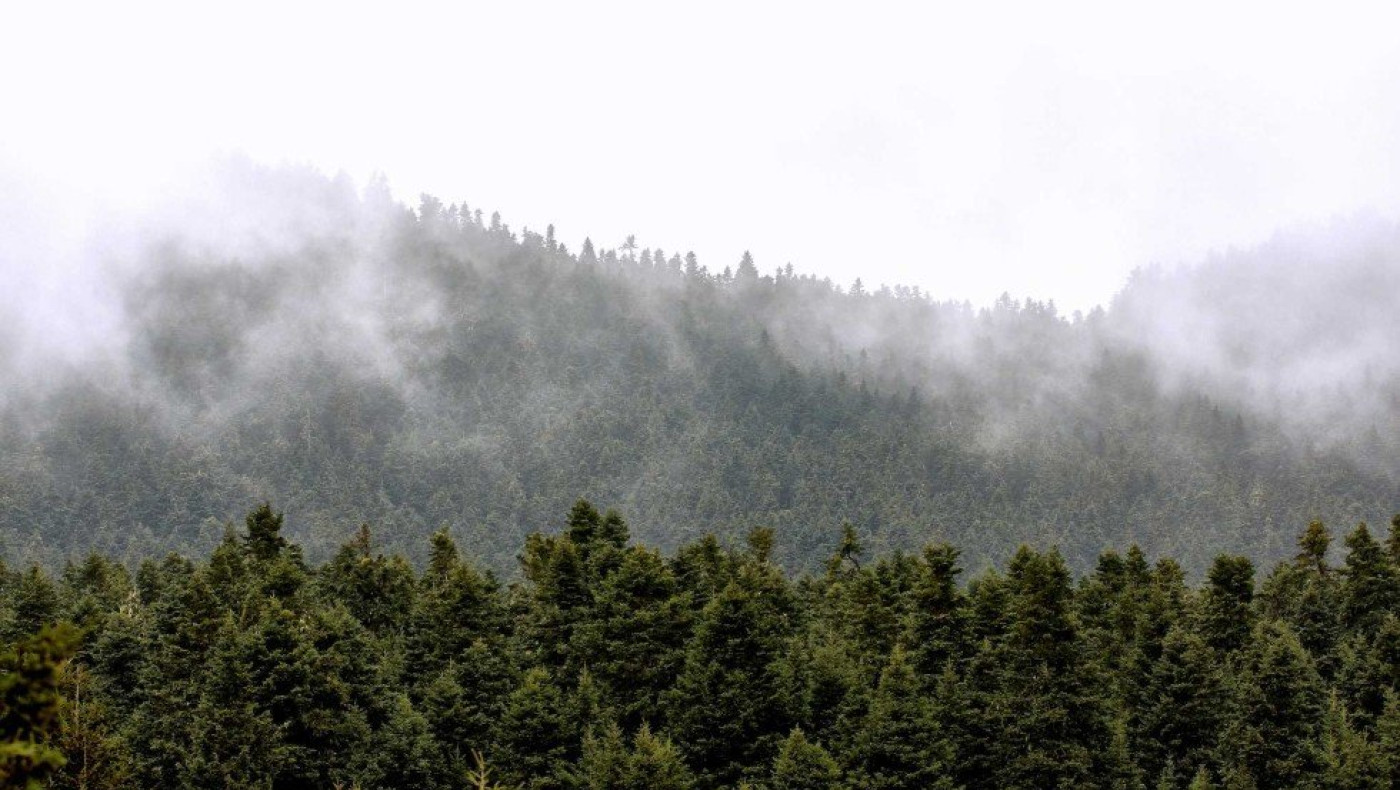 Καιρός: Παραμονή Πρωτοχρονιάς με θερμοκρασίες Πάσχα