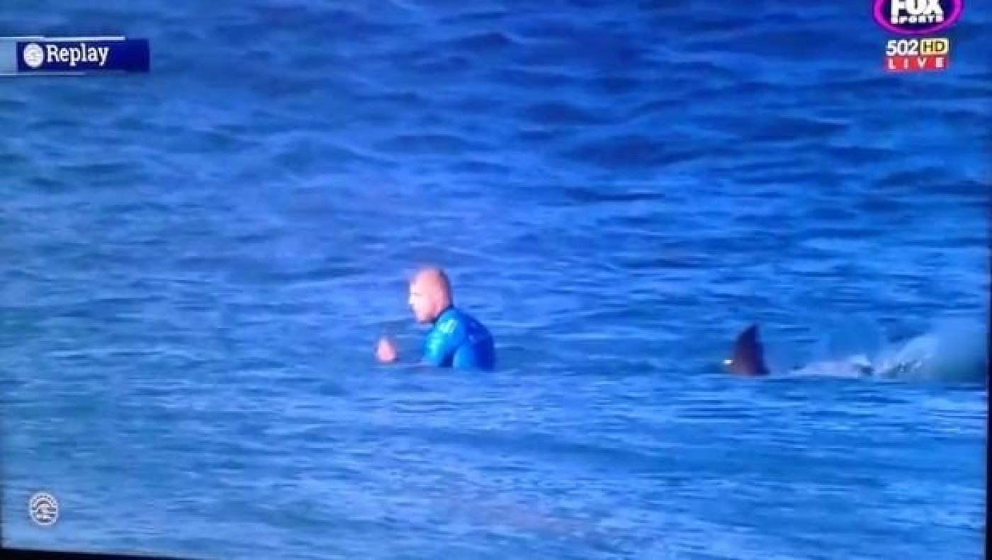 Επίθεση καρχαρία στον σέρφερ, Μικ Φάνινγκ! (ΒΙΝΤΕΟ)