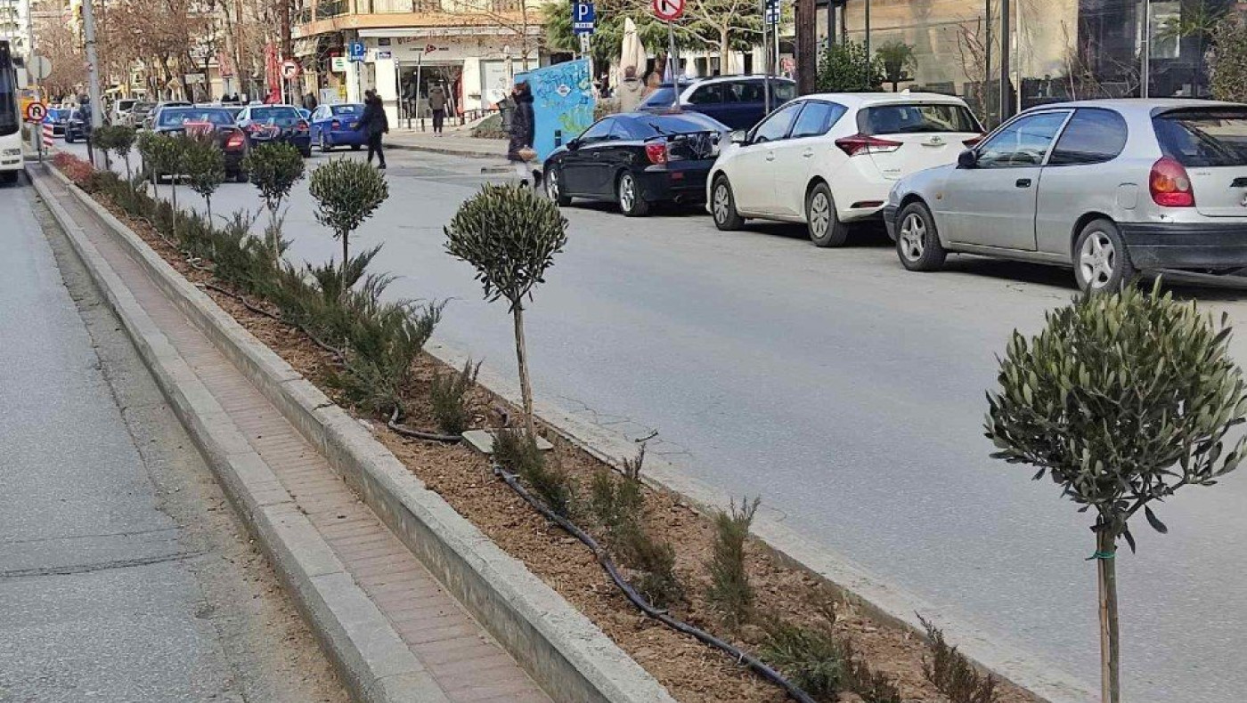 Αναβάθμιση πρασίνου στην Παπαναστασίου