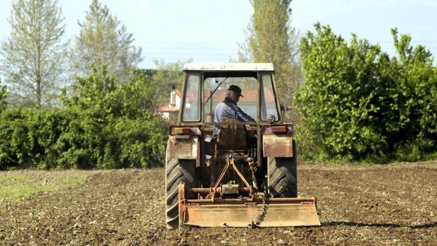 Ανοίγουν οι αιτήσεις για το πρόγραμμα «Πράσινος Τρύγος»