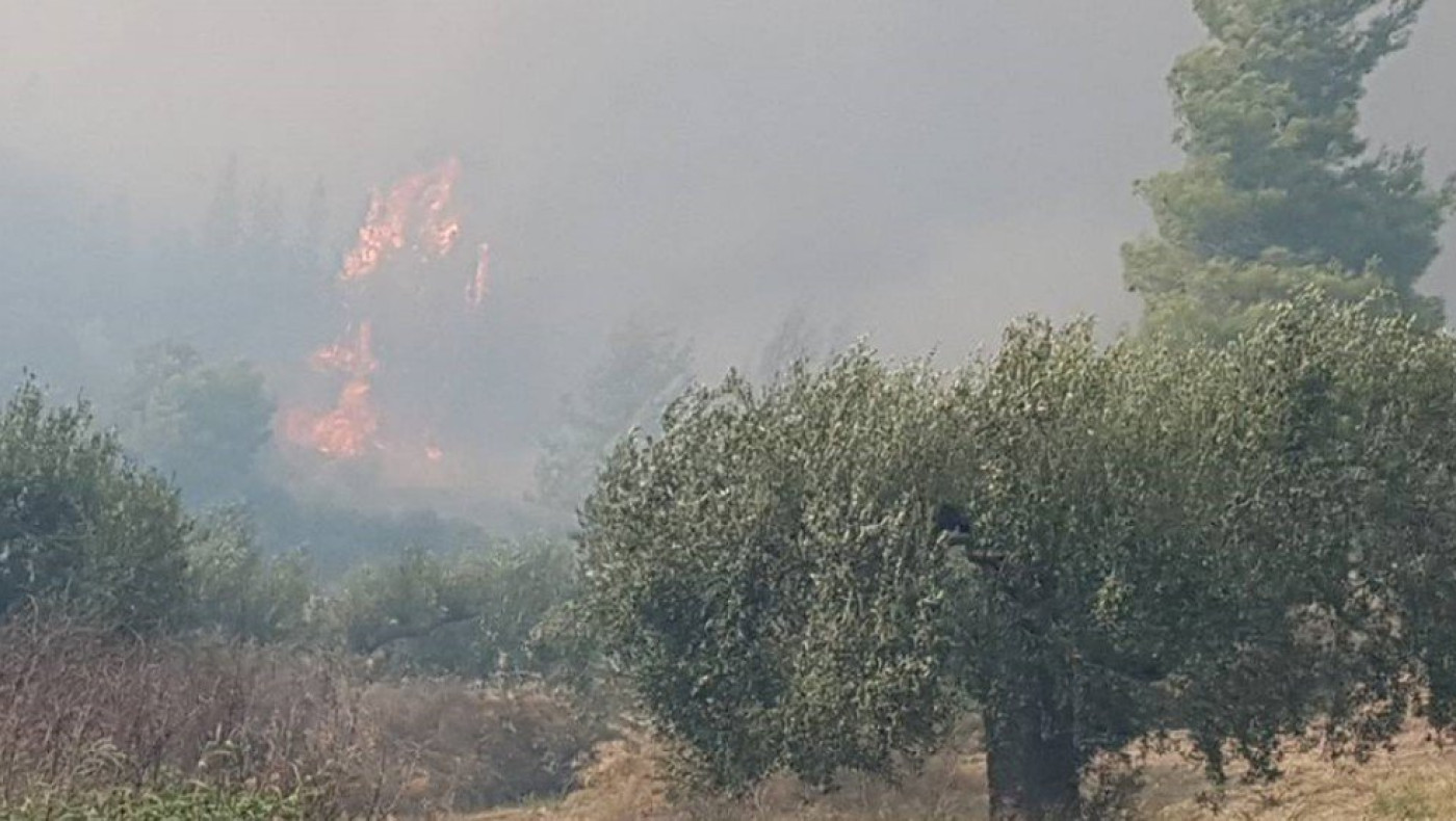 Χαλκιδική: Οριοθετημένη η φωτιά στη Μόλα Καλύβα