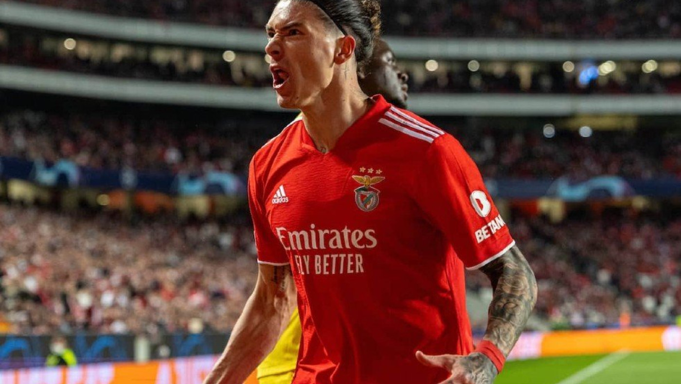 Ντάργουιν Νούνιες: Η θεωρία της εξέλιξης ενός σύγχρονου Δαρβίνου