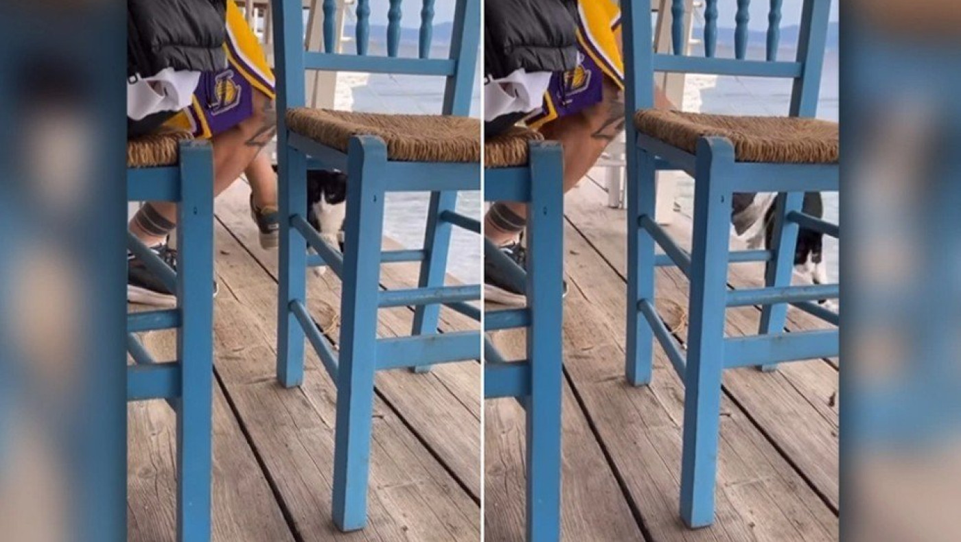 Βίντεο σοκ από την Αιδηψό: Άνδρας κλώτσησε γάτα στη θάλασσα!