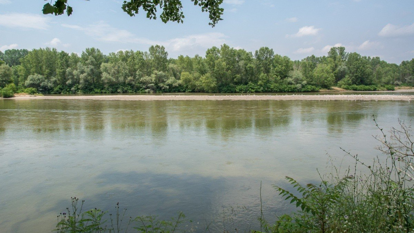 Έβρος: Περισσότεροι από 130 μετανάστες κοντά στη Βύσσα – Τους «έσπρωξαν» οι τουρκικές συνοριακές αρχές