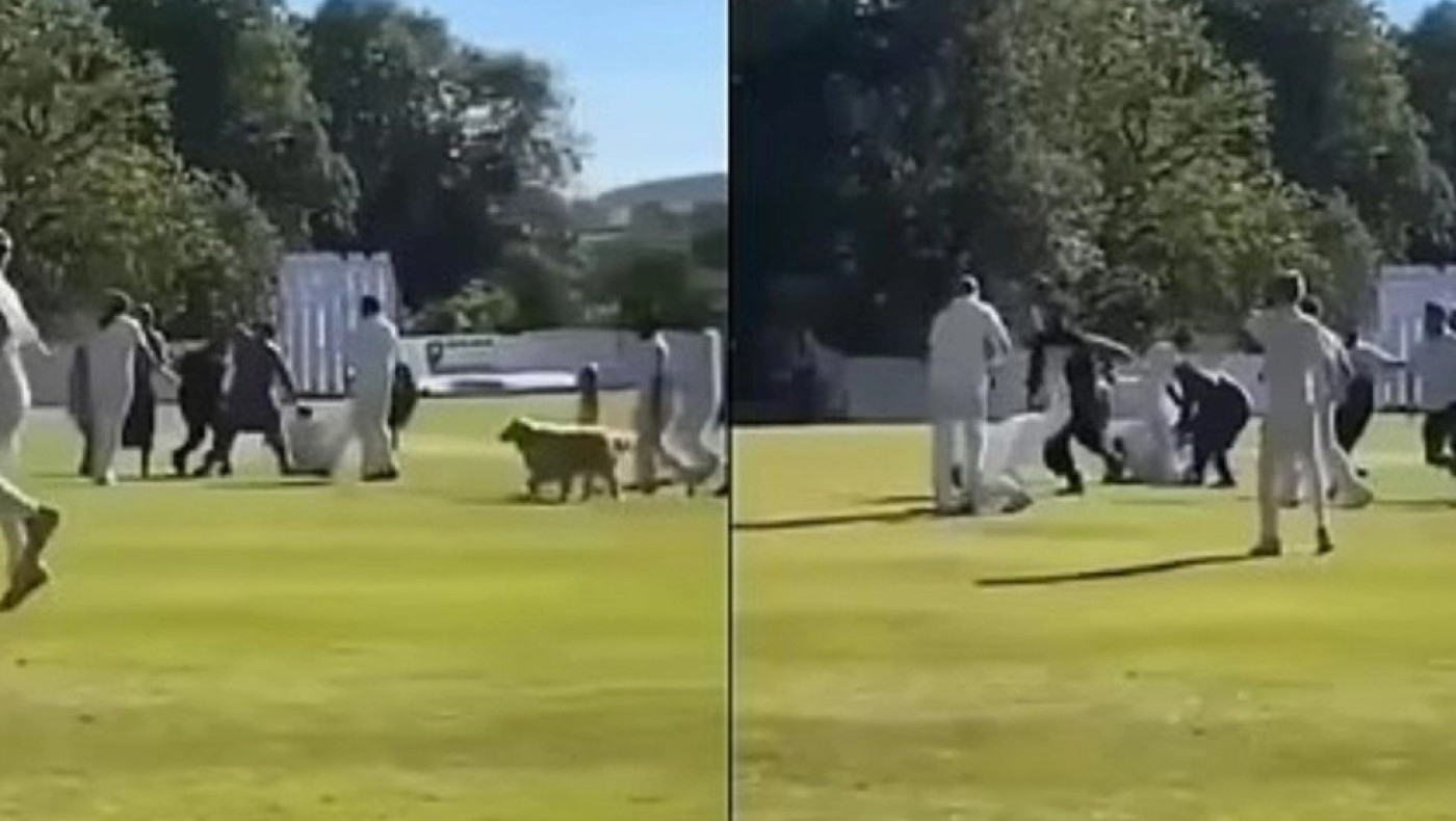 Αγγλία: Κλωτσιές, μπουνιές και χτύπημα με... μεταλλικό μπαστούνι σε αγώνα κρίκετ