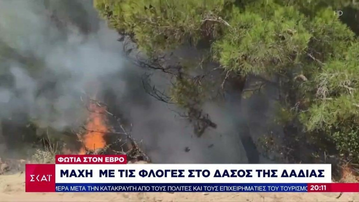 Μάχη με τις φλόγες στο δάσος της Δαδιάς στον Έβρο – Σύλληψη για εμπρησμό από πρόθεση στην Ηλεία