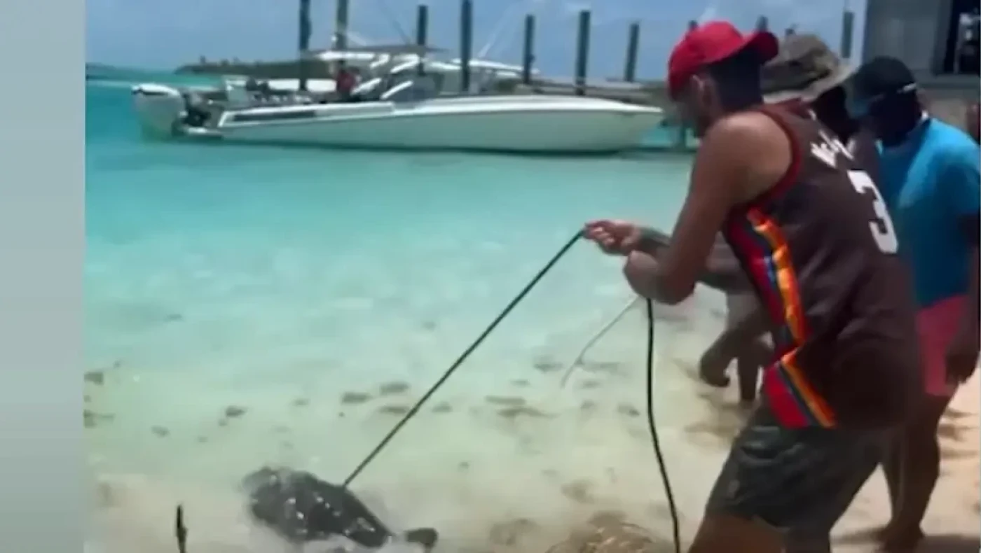 Ο Νικ Κύργιος σε «επικίνδυνες» αποστολές στις Μπαχάμες με καρχαρία