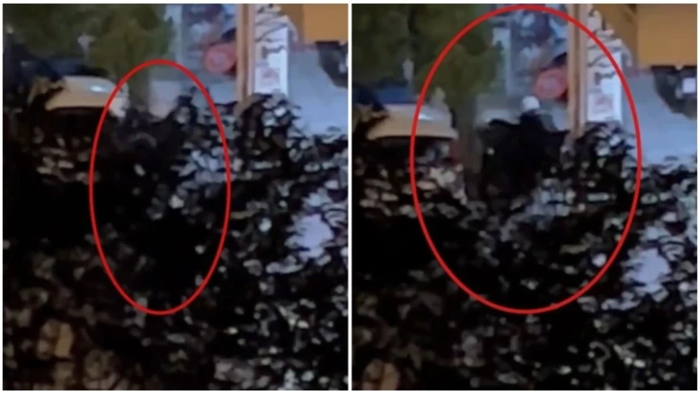 Τρομακτικός ξυλοδαρμός νεαρού από άνδρες της ΔΙΑΣ