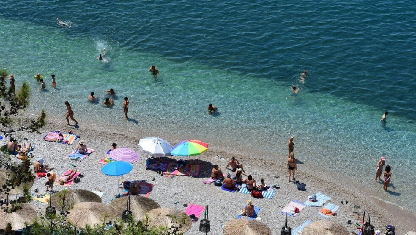 Μωβ μέδουσες: Οι επικίνδυνες παραλίες την πρώτη εβδομάδα του Αυγούστου