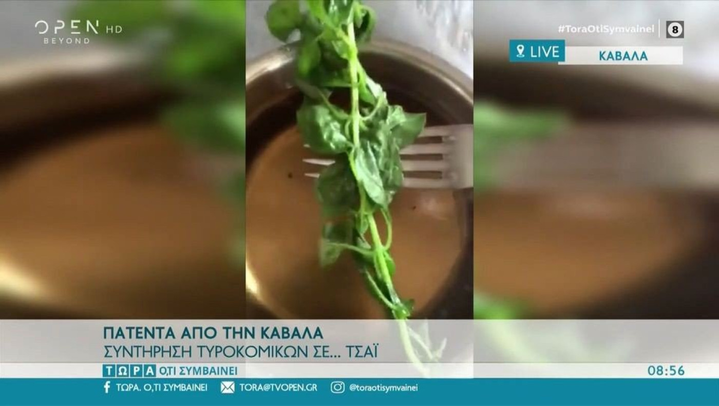 Πατέντα από την Καβάλα: Συντήρηση τυροκομικών σε... τσάι