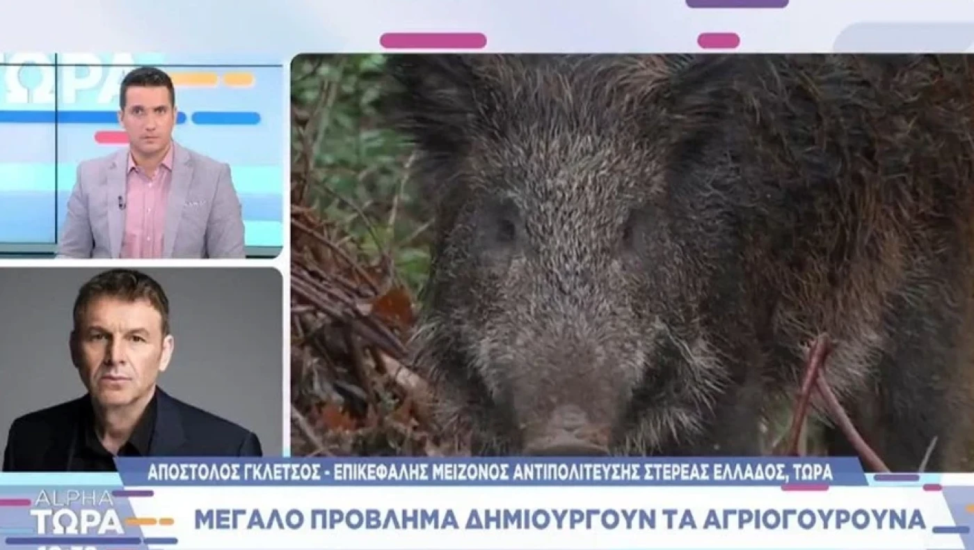 Γκλέτσος: «Έχω υπάρξει θύμα τροχαίου με αγριογούρουνα»