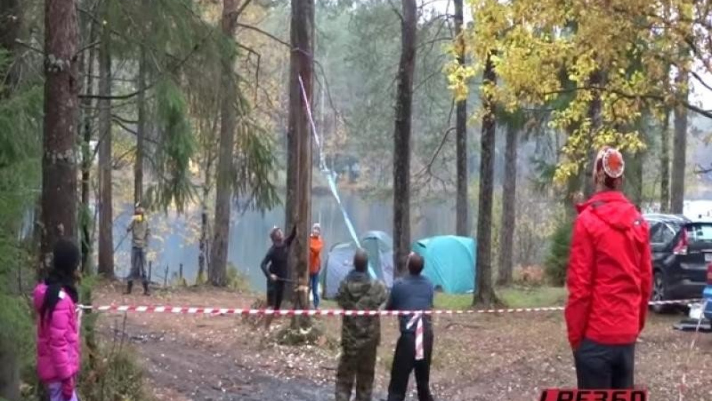 Έπεσε πάνω του δέντρο και σώθηκε! (VIDEO)