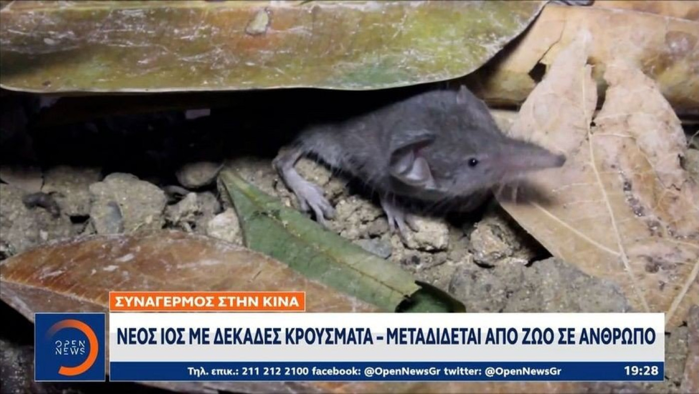 Συναγερμός στην Κίνα: Νέος ιός με δεκάδες κρούσματα - Μεταδίδεται από ζώο σε άνθρωπο