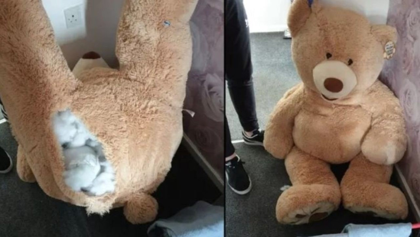 Βρετανία: Κλέφτης βρήκε «κρυψώνα» μέσα σε λούτρινο αρκούδο- Έτσι τον εντόπισαν