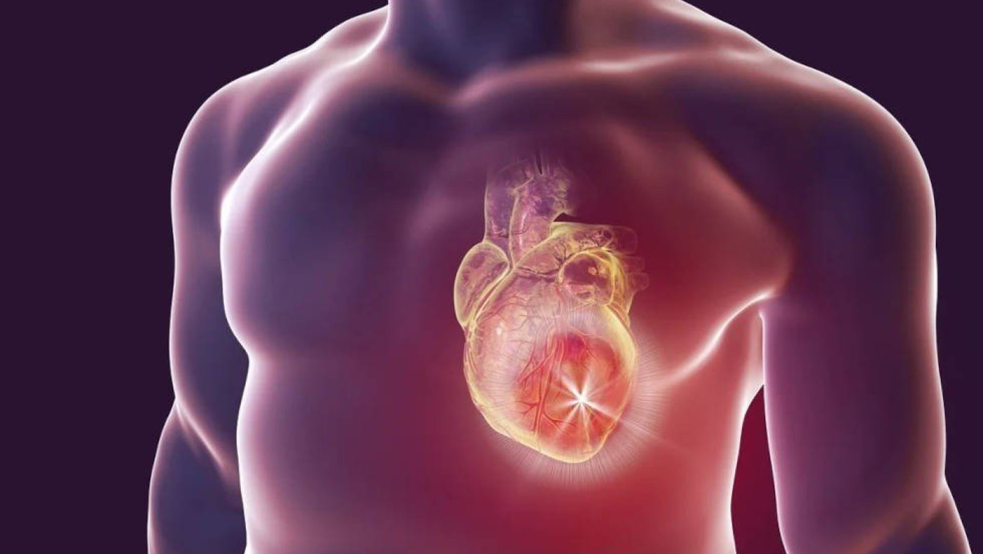 Έρευνα: Πώς οι σκάλες μπορούν να σώσουν την καρδιά μας