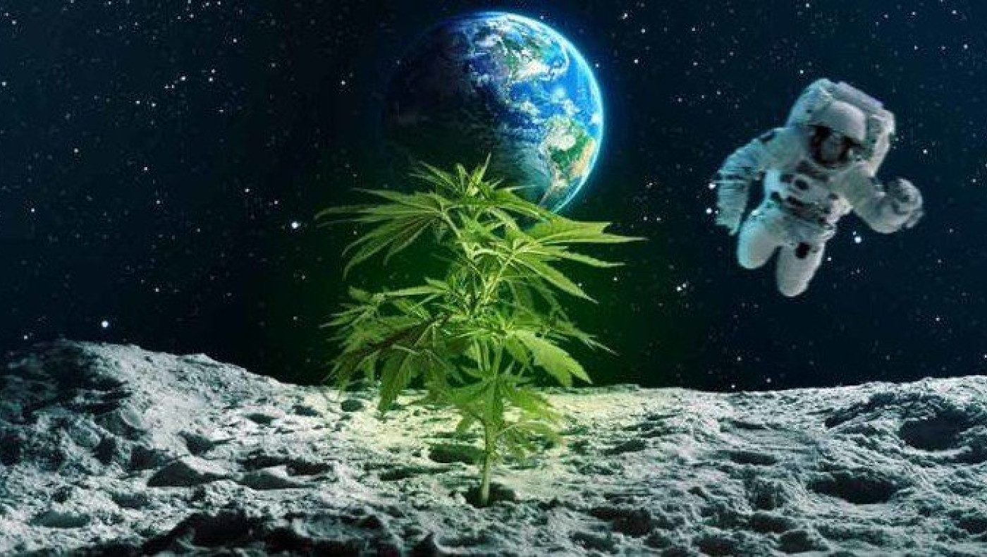 Διεθνής Διαστημικός Σταθμός: Αμερικανική εταιρεία εκτοξεύει… χασισοφυτεία στο διάστημα!