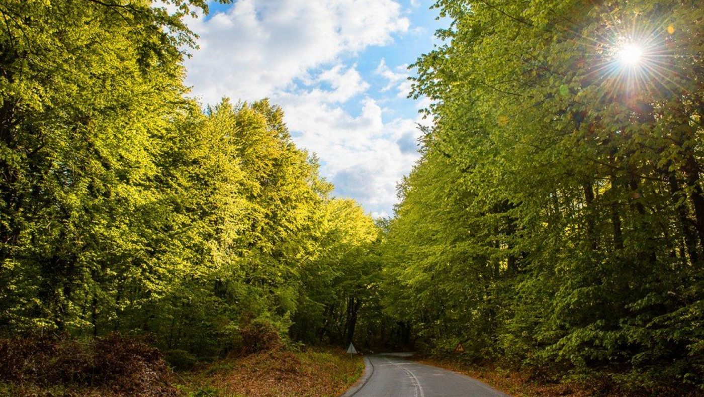 Συνεχίζεται ο διάλογος μεταξύ της Ελληνικός Χρυσός και της τοπικής κοινωνίας της ΒΑ Χαλκιδικής για το κοινό τους μέλλον