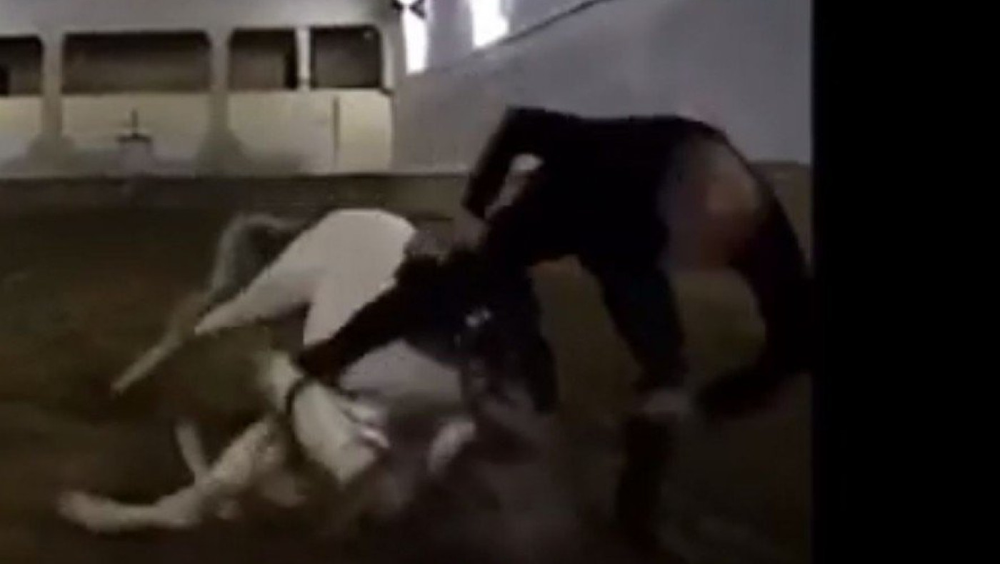 Ο Ζιντάν έπεσε από άλογο, αλλά σηκώθηκε με... στυλ (vid)