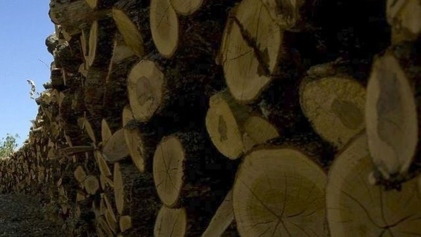 «Μας έκλεψαν 20 τόνους ξύλα που προορίζονταν για ανθρώπους που τα είχαν πραγματικά ανάγκη»