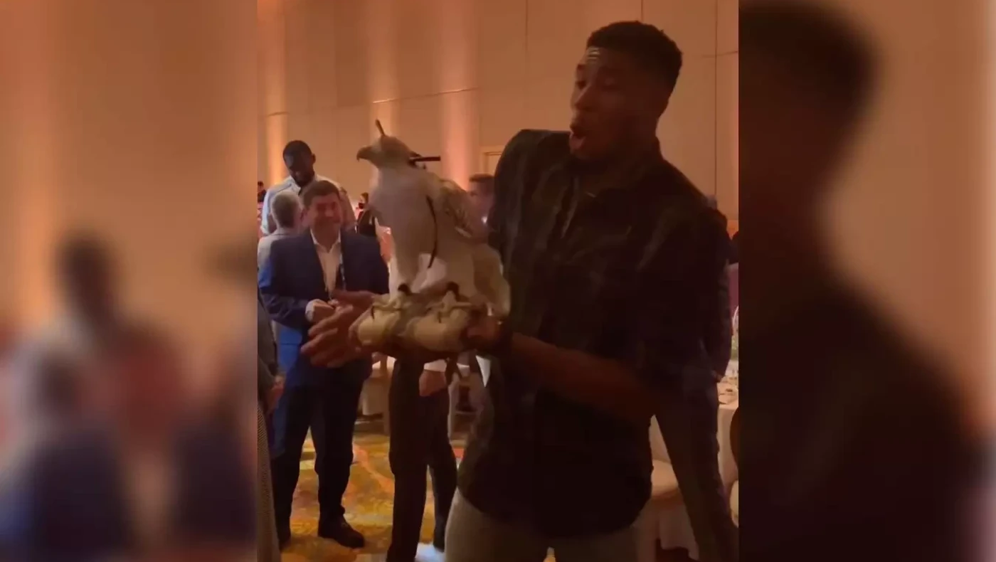 Ο Αντετοκούνμπο... έπαθε Μανωλά, τα «χρειάστηκε» για ένα... γεράκι!