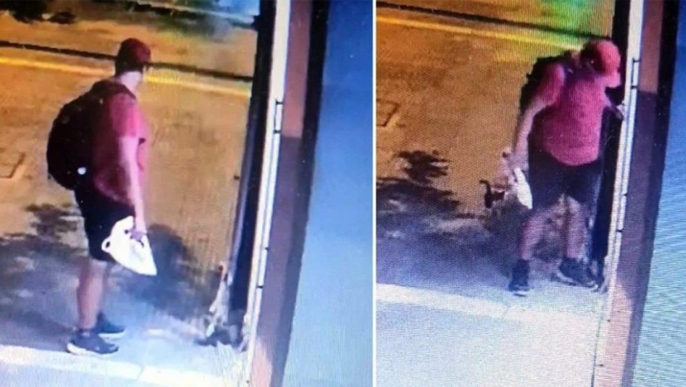 Θεσσαλονίκη: Δικηγόρος φέρεται να είναι ο 39χρονος που κατηγορείται ότι ποδοπάτησε μέχρι θανάτου γατάκι