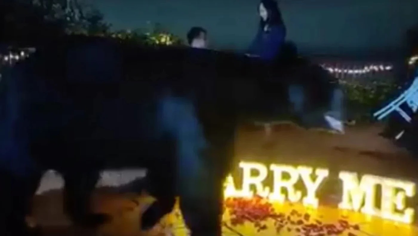 Τρελή σκηνή: Τεράστια αρκούδα διέκοψε πρόταση γάμου