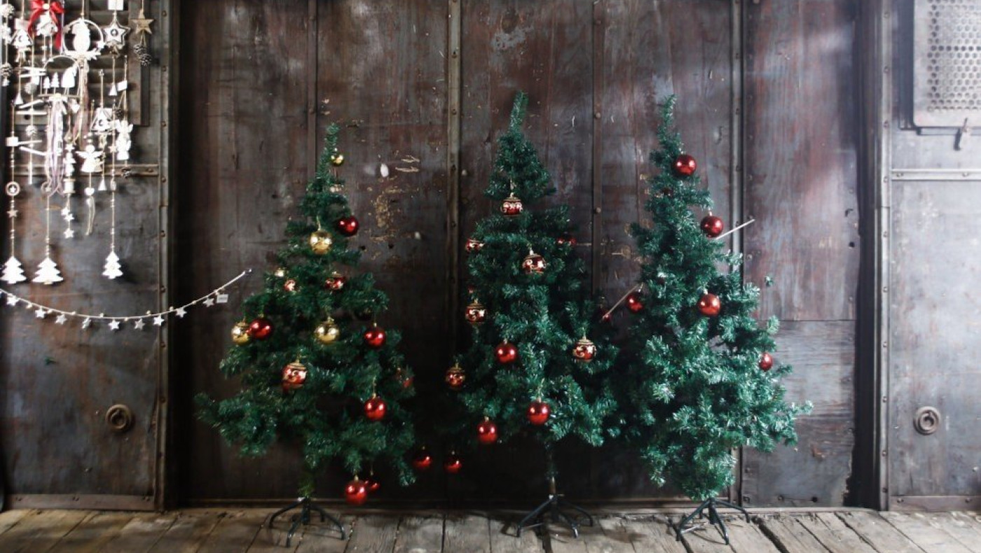 Θεσσαλονίκη: Ήρθαν τα πρώτα έλατα Χριστουγέννων από τον Ταξιάρχη Χαλκιδικής