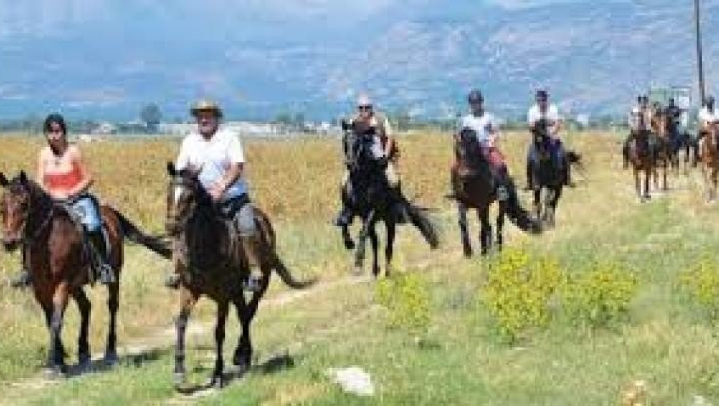 Ιππείς και άλογα από όλη την Ελλάδα δίνουν ραντεβού στο Σχολάρι Θεσσαλονίκης 