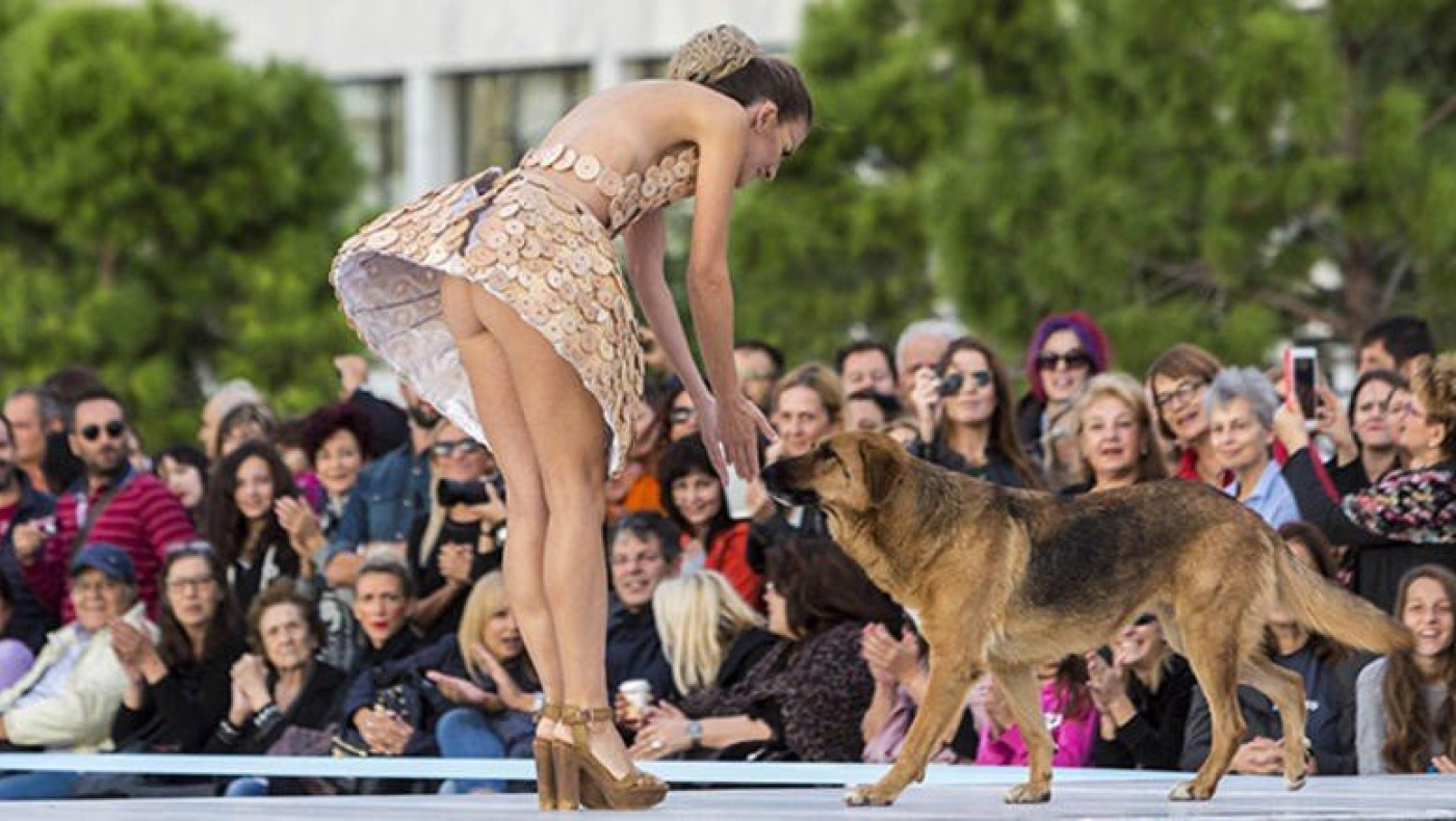 Η κτηνίατρος - φωτιά  που... «αποκαλύφθηκε» στη Θεσσαλονίκη! (ΦΩΤΟ) 