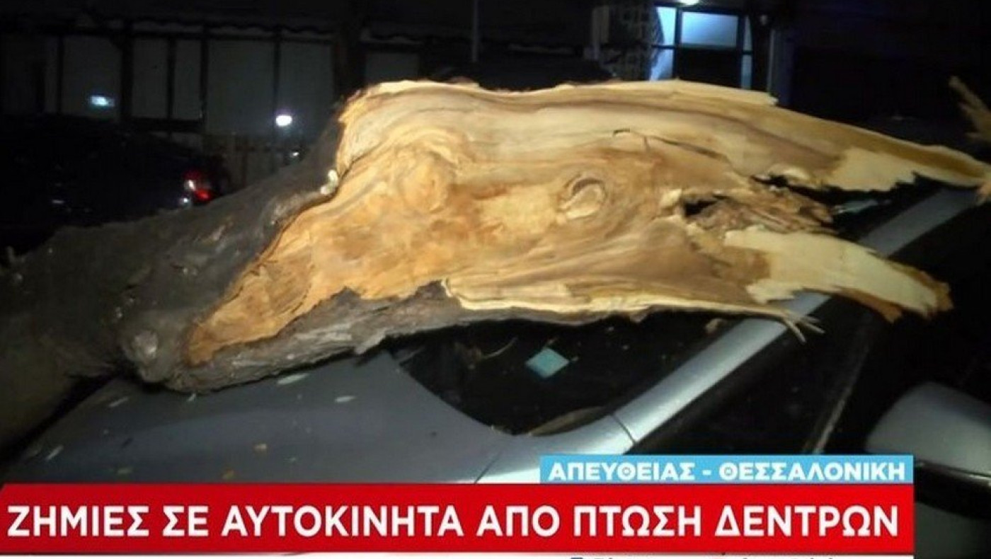 Θεσσαλονίκη: Πτώση δέντρου σε Ι.Χ. - Επί ποδός η πυροσβεστική