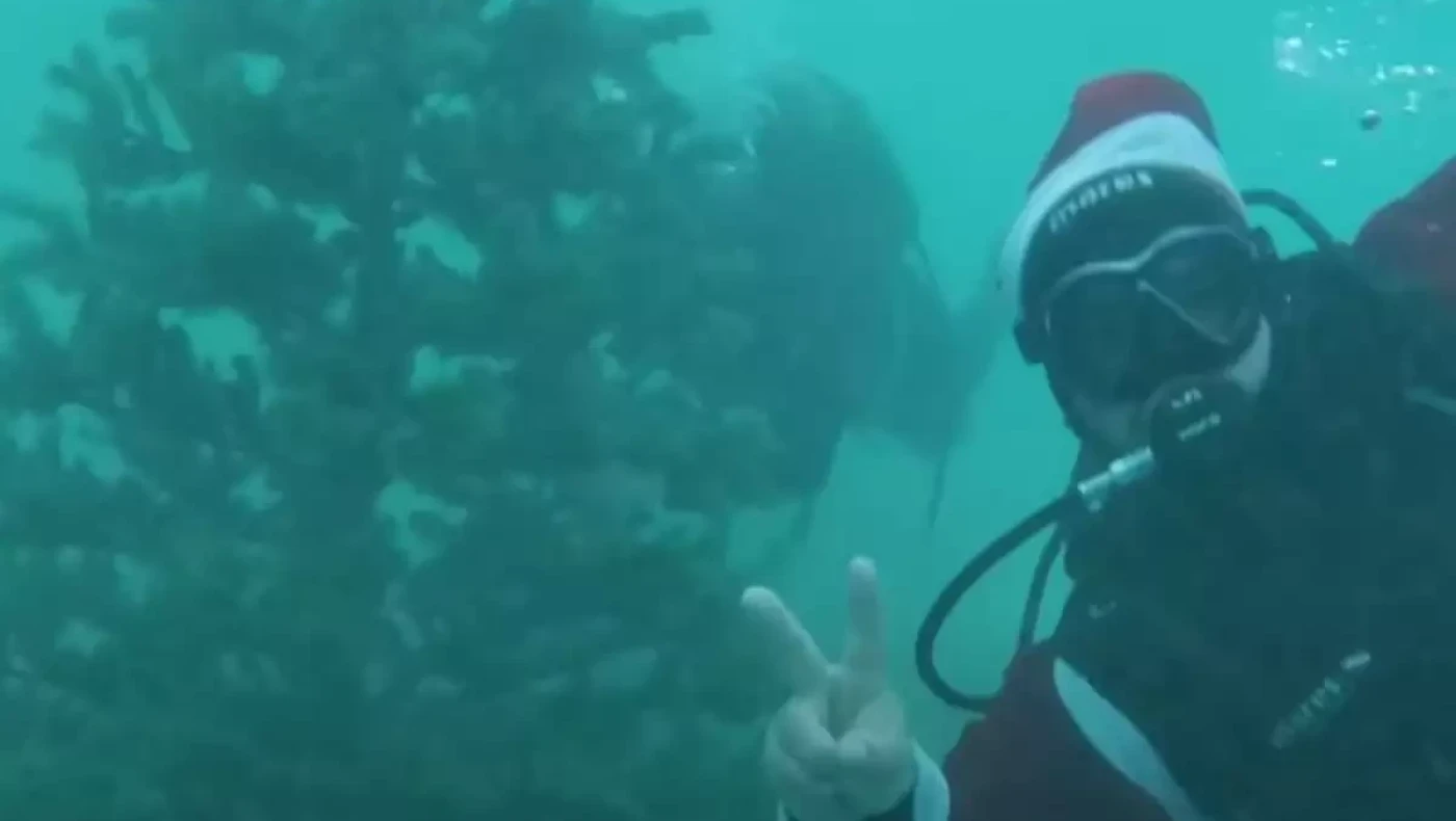 Αλόννησος: Δύτες βούτηξαν στο βυθό για να... στολίσουν χριστουγεννιάτικο δέντρο