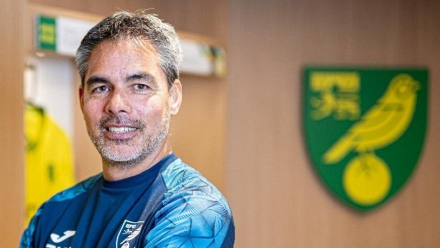 Αυτός είναι ο νέος προπονητής του Γιαννούλη στη Νόριτς