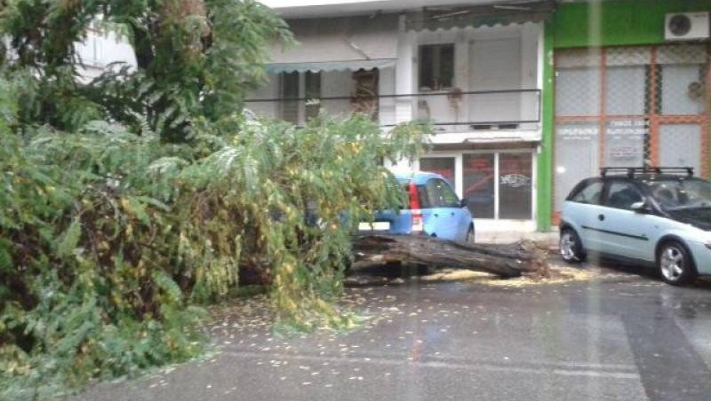 Πτώση δέντρου στην Τούμπα, συνεχίζεται η κακοκαιρία και με χαλάζι (βίντεο)