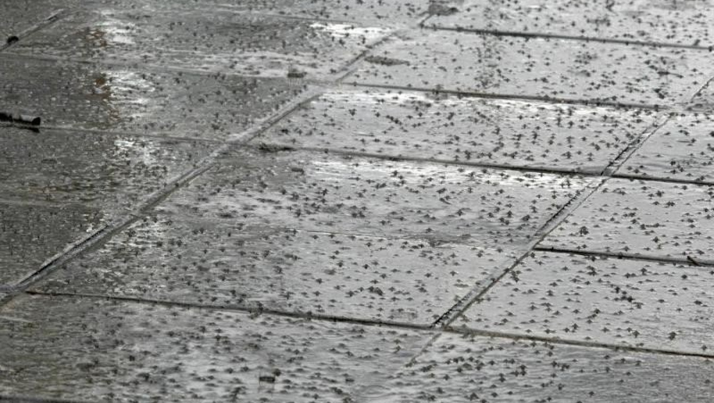 Συμβαίνει τώρα: Χαλάζι στη Θεσσαλονίκη