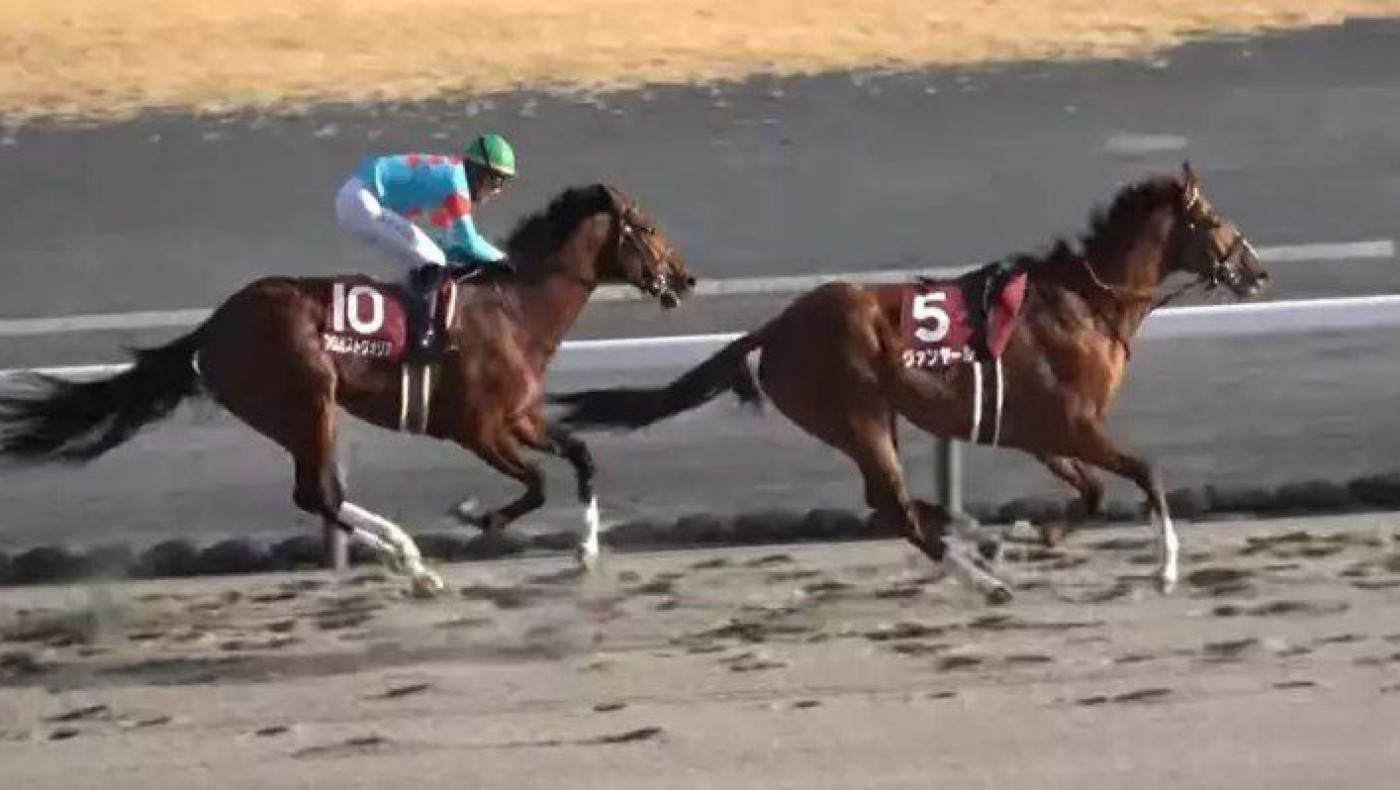 Απίστευτο: Άλογο χωρίς αναβάτη τερμάτισε πρώτο σε ιππόδρομο! (vid)