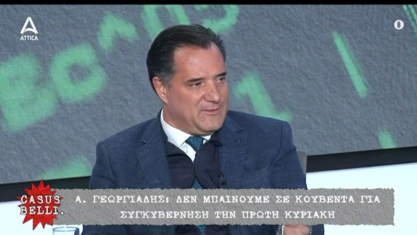 Γεωργιάδης: Συνεργασία μόνο με το ΠΑΣΟΚ - Αν πει όχι, θα πάμε σε τρίτες εκλογές