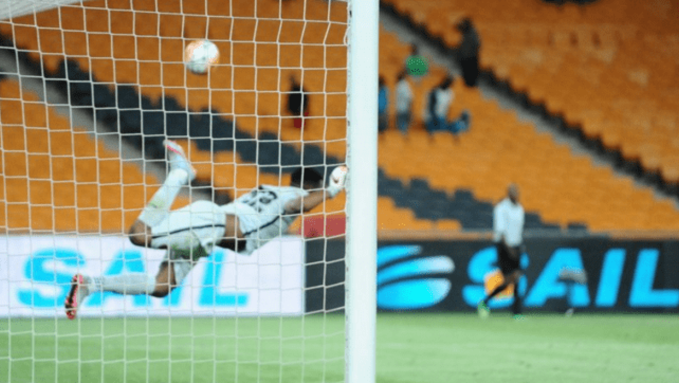 Ο... Χιγκίτα της Νοτίου Αφρικής (video)