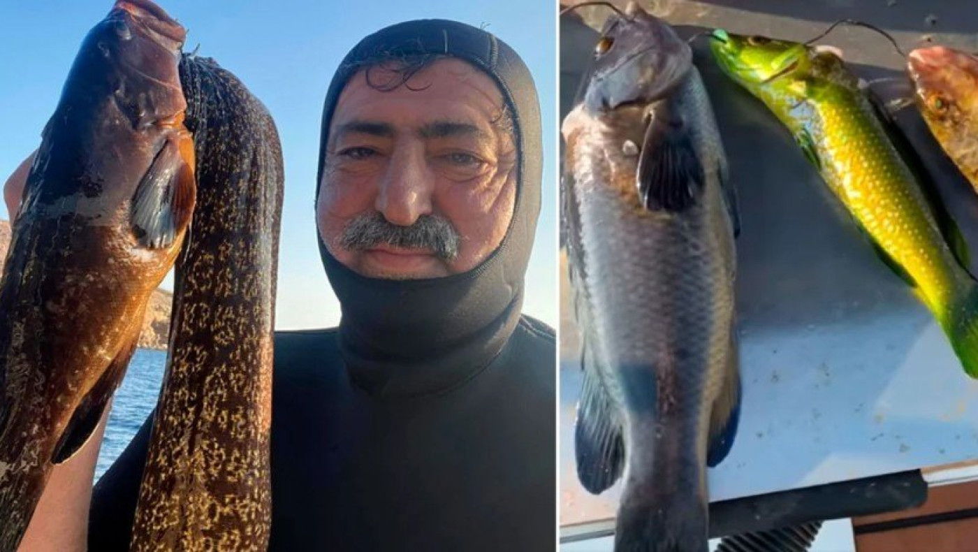 Παύλος Πολάκης: Παρομοιάζει την Σοφία Νικολάου με... σμέρνα